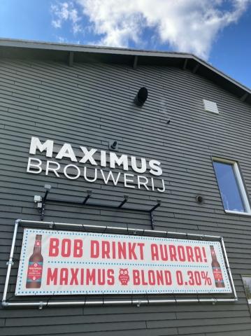Maximus Aurora Blond gevel banner